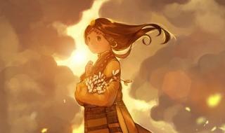 陪你月落与星沉